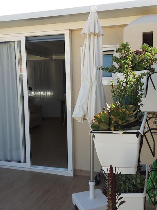 סן מיגל דה אבונה Vacanze Da Sogno מראה חיצוני תמונה